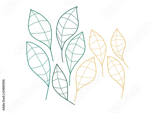 leaves lite vector illustration