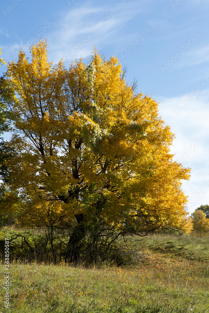 Herbstlandschaft Herbstlandschaft