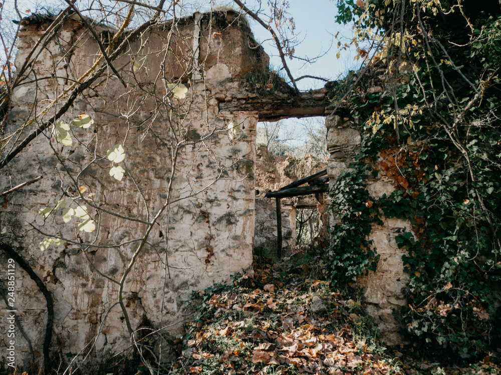 abandoned house in the countryside surrounded by vines