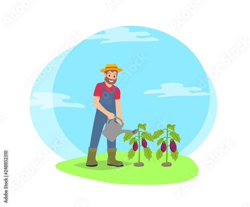 Farmer working in garden waters vegetables vector cartoon icon. Smiling bearded man in uniform, hat and boots with watering can pouring eggplant shrub