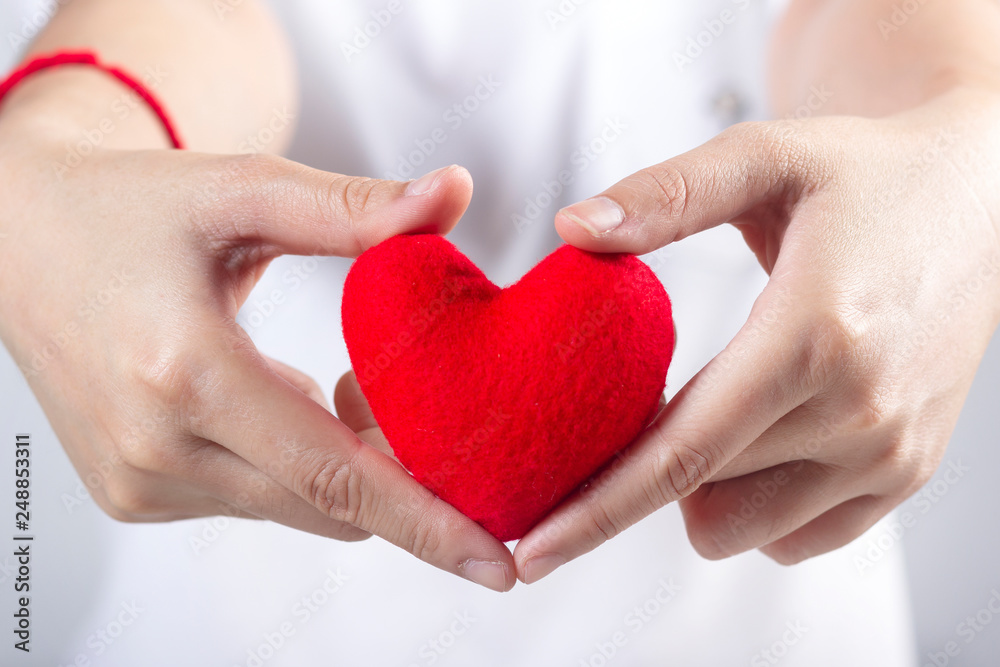 Woman's hands with white t-shirt holding red fabric heart shaped Woman's hands with white t-shirt holding red fabric heart shaped