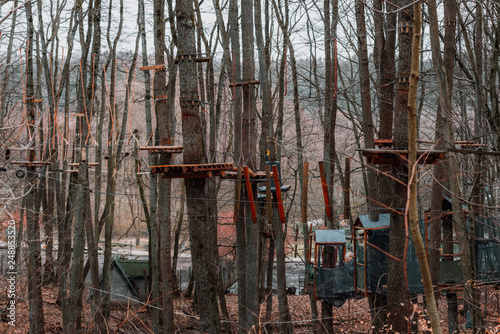 rope park in the forest