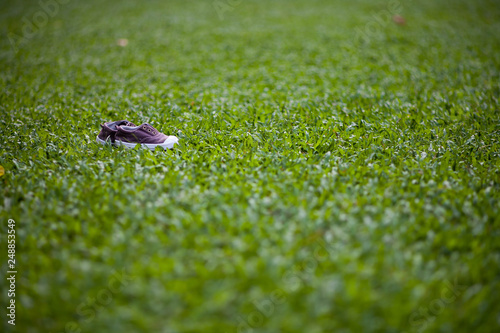 shoe on a grass