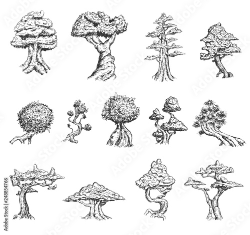 Set of hand drawn sketch old tree or decorative japan bonsai tree isolated on white background. Vector vintage retro illustration.
