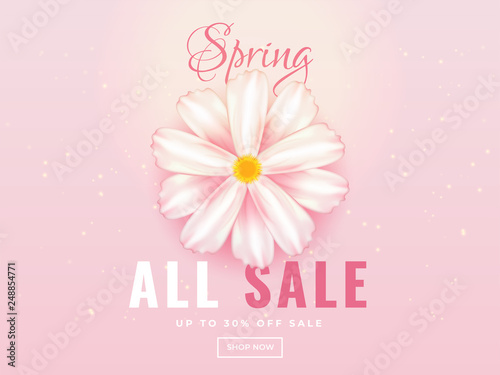 Spring Sale banner or poster design with 30% discount offer and realistic daisy flower illustration on glossy pink background.