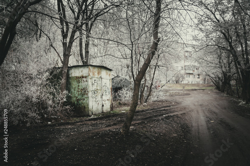 road in the yard