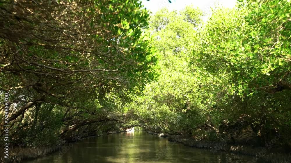 4K, Beautiful view of lush greenery reflected in the water of a peaceful stream under the green tunnel of mangrove trees in Sihcao Wildlife Reserve in Taijiang National Park, Tainan, Taiwan-Dan 4K, Beautiful view of lush greenery reflected in the water of a peaceful stream under the green tunnel of mangrove trees in Sihcao Wildlife Reserve in Taijiang National Park, Tainan, Taiwan-Dan