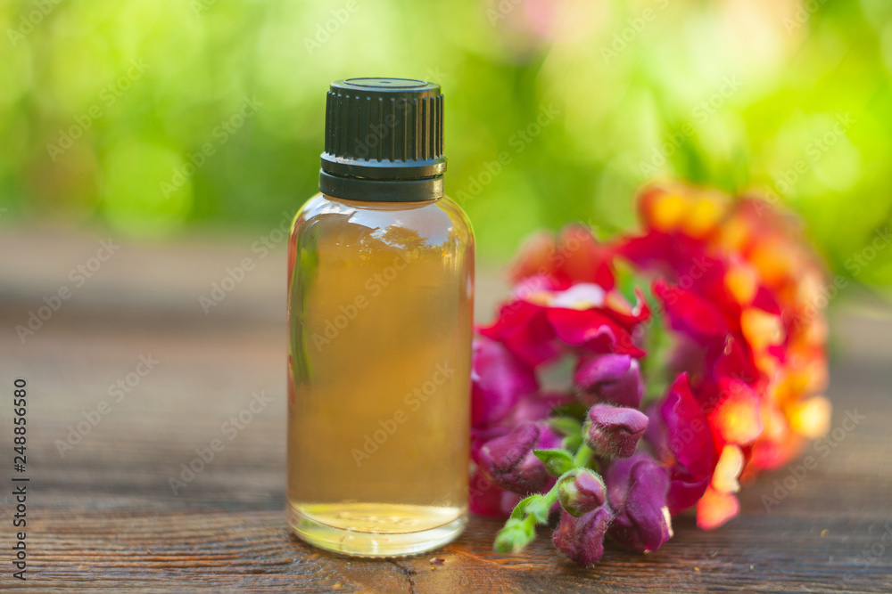 antirrhinum essential oil in  beautiful bottle on table