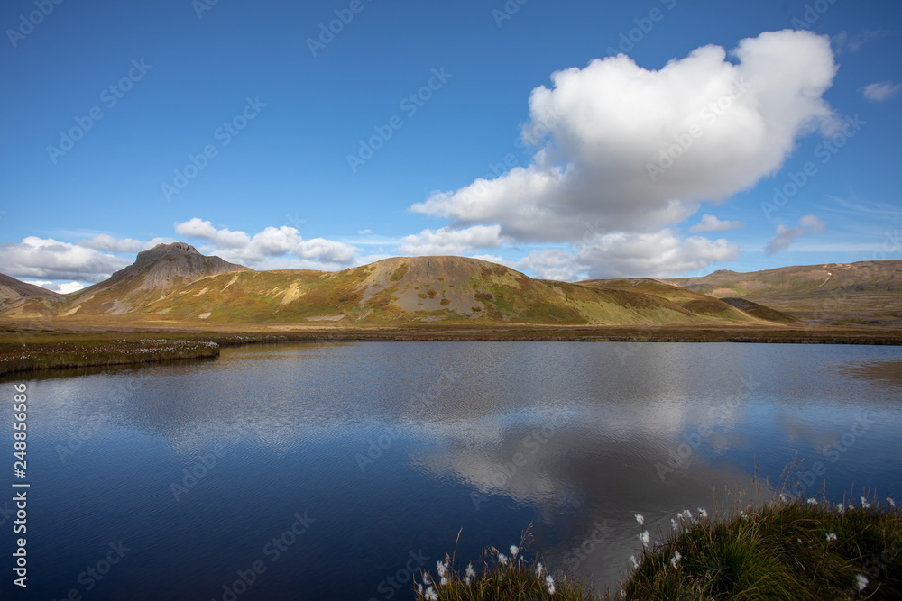 Iceland. View of the fjords. warm sunny summer day