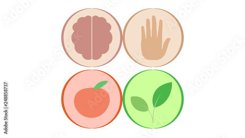 Set of icons vector design. Sticker collection. Health stickers