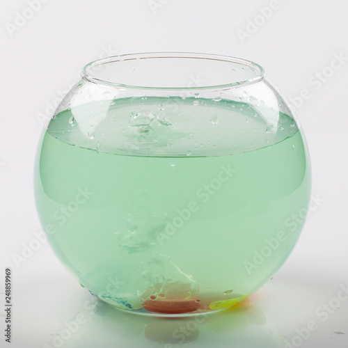 Round glass aquarium with greenish water, which throw stones
