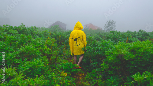 una persona con un impermeabile nella natura nella nebbia photo