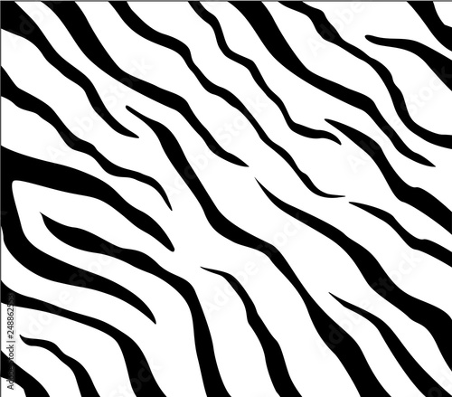 Vector zebra pattern for background
