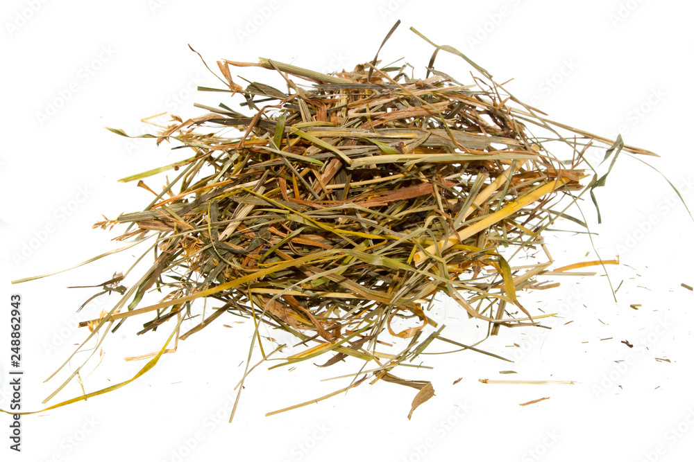 dry grass isolated on white background dry grass isolated on white background