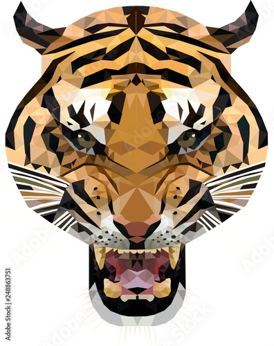 tygrys low poly