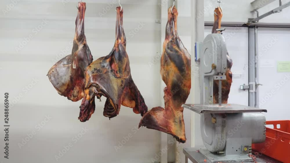 Stockvideon Slaughter butcher house hanging horse meat and beef in freezer. meat carcass hanging