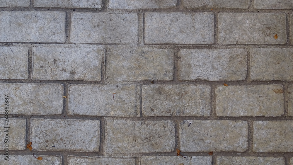 Fototapeta premium Textura pavimento cemento