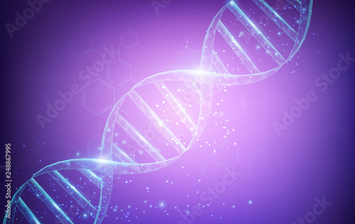 Wireframe DNA molecules structure mesh low poly consisting of points, lines, and shapes on dark purple background. Science and Technology concept