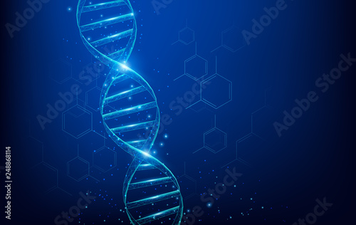 Wireframe DNA molecules structure mesh low poly consisting of points, lines, and shapes on dark blue background. Science and Technology concept