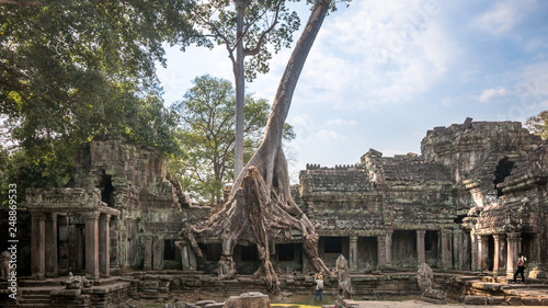 Preah Khantomb raider temple in cambodia with giant tree