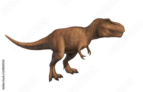 Tyrannosaurus rex isolated