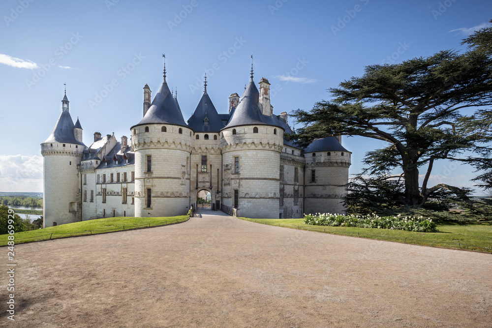 Entry of the Chaumont Fairytale castle. Loire valley, France