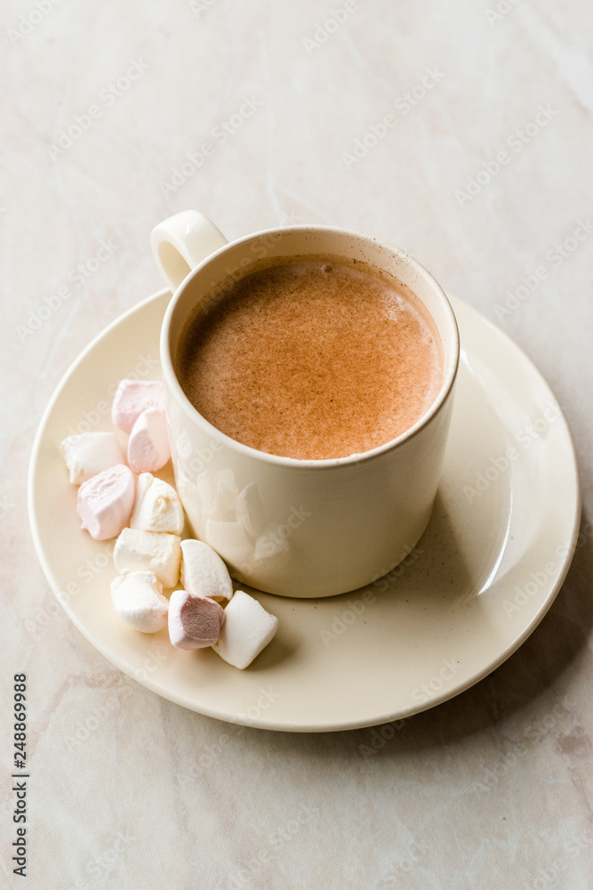 Healthy Homemade Milk Babyccino with Marshmallows and Cocoa / Cinnamon Powder Healthy Homemade Milk Babyccino with Marshmallows and Cocoa / Cinnamon Powder