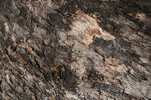 abstract background