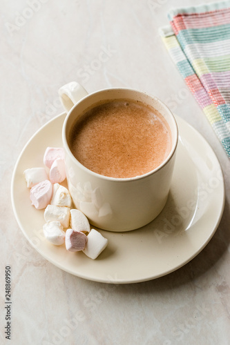 Healthy Homemade Milk Babyccino with Marshmallows and Cocoa / Cinnamon Powder