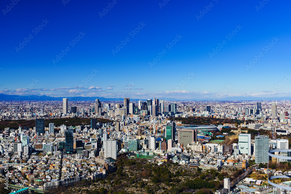 [Japan] Tokyo panorama view (No.0053)