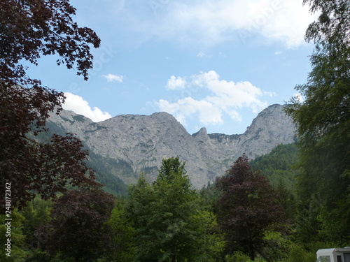 The Near Trees And The Far Mountains