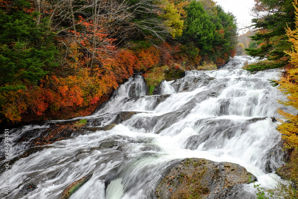 Fototapeta premium The water falls representing the Oku-Nikko in national park,nikko Japan.