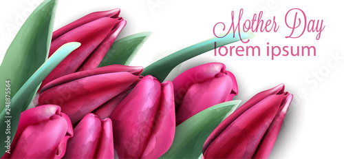 Pink tulip flowers banner Vector watercolor. Mother day card. Beautiful sprin...