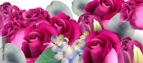 Pink roses bouquet Vector watercolor. Floral background. Beautiful spring flo...