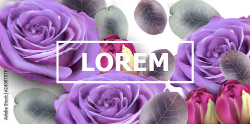 Purple roses card Vector watercolor. Floral background. Beautiful spring flor...