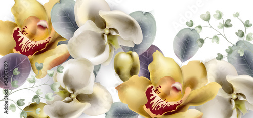 Orchid flowers vintage banner Vector watercolor. Delicate seasonal background...