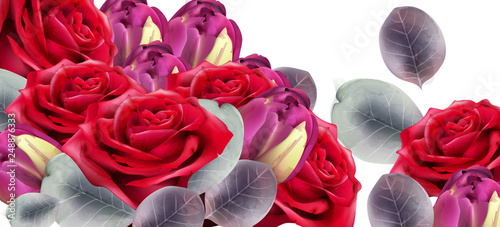 Roses bouquet Vector watercolor. Delicate seasonal background. Beautiful spri...