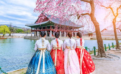 Fototapete Seoul Hanbok und Kirschblüten am Gyeongbokgung  © chanchai