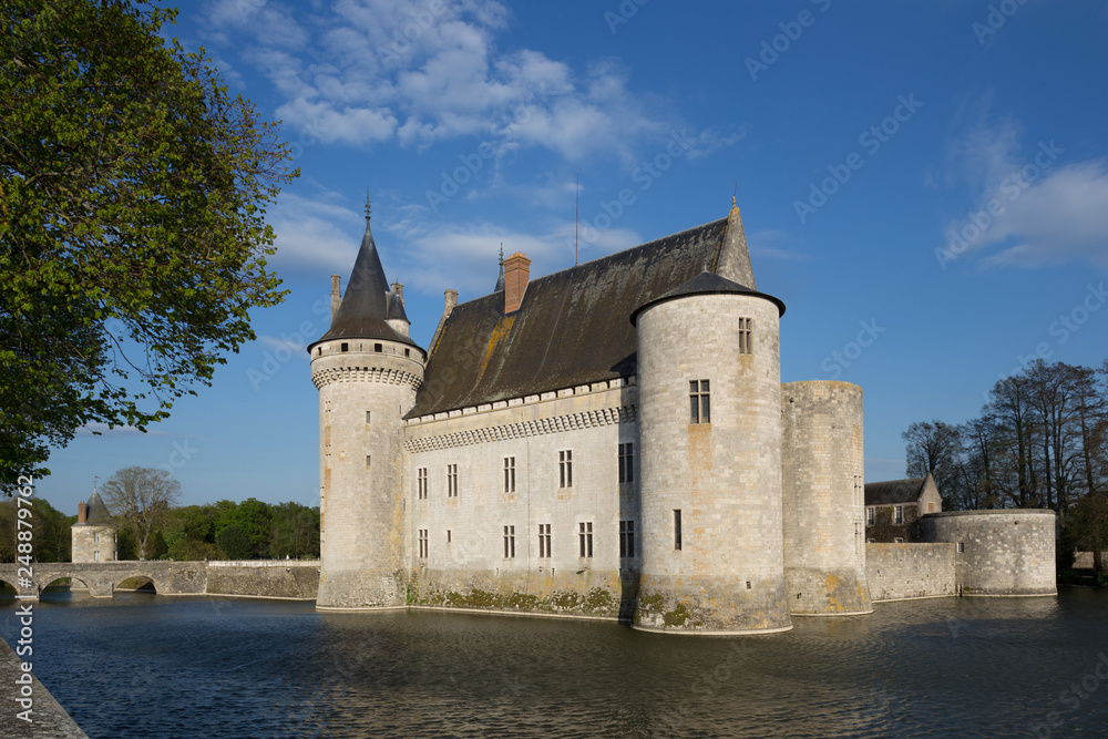 Chateau de Sully-sur-Loire, France.