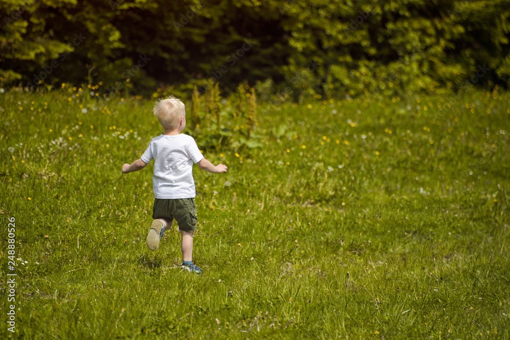 Little blond boy runs in a green meadow on the edge of the forest Little blond boy runs in a green meadow on the edge of the forest