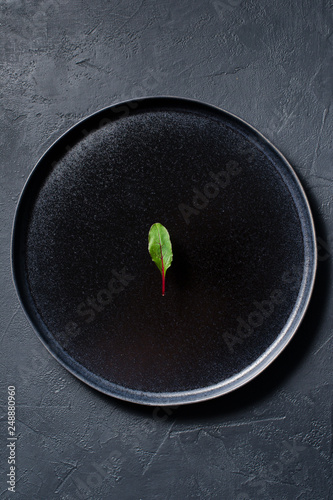Mangold on a black plate, minimalism, concept. Dark background, top view, space for text