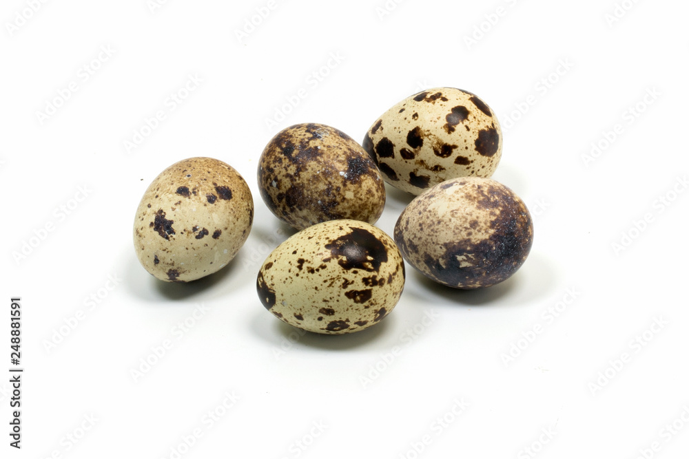 Happy Easter.Set of Easter eggs with different texture on a white background.Spring holiday. Vector foto .Happy easter eggs Happy Easter.Set of Easter eggs with different texture on a white background.Spring holiday. Vector foto .Happy easter eggs