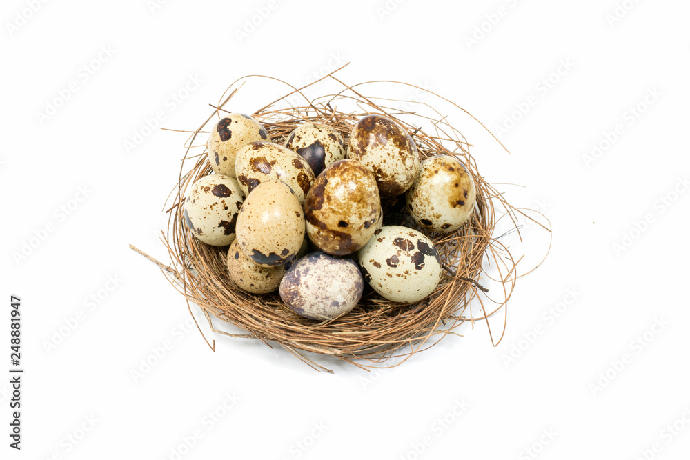 Happy Easter.Set of Easter eggs with different texture on a white background.Spring holiday. Vector foto .Happy easter eggs Happy Easter.Set of Easter eggs with different texture on a white background.Spring holiday. Vector foto .Happy easter eggs