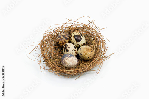 Happy Easter.Set of Easter eggs with different texture on a white background.Spring holiday. Vector foto .Happy easter eggs