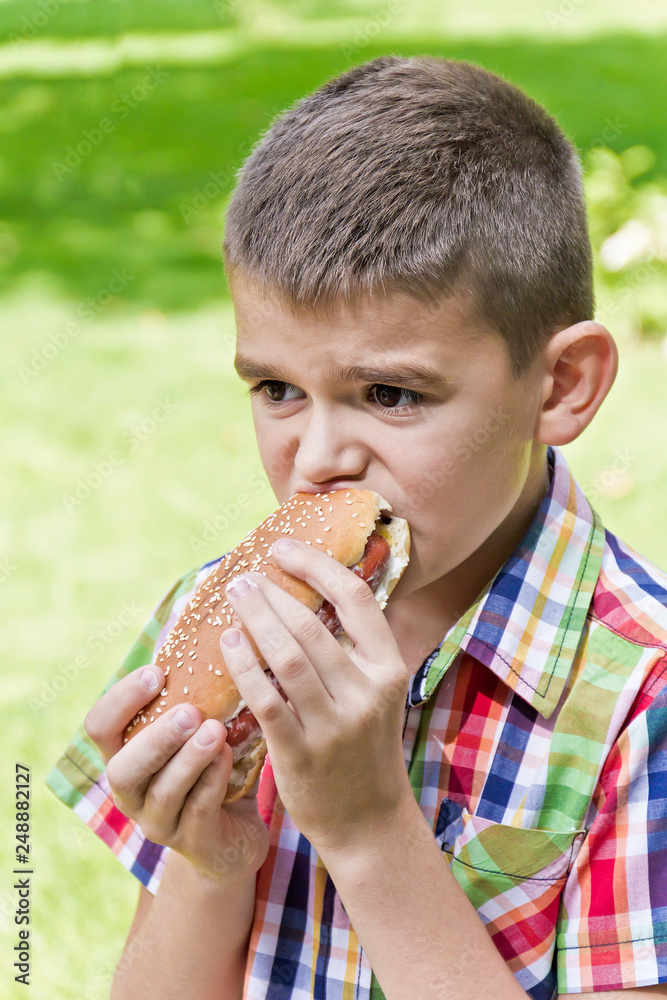 Cute brunette boy eating hotdog Cute brunette boy eating hotdog