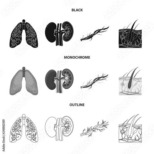 Isolated object of body and human symbol. Set of body and medical stock vector illustration.