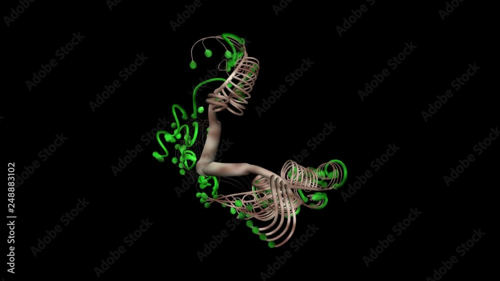 3d Fractal flower , bonsai tree blooming. 3d animation . Computer generated procedural growth 3d Fractal flower , bonsai tree blooming. 3d animation . Computer generated procedural growth