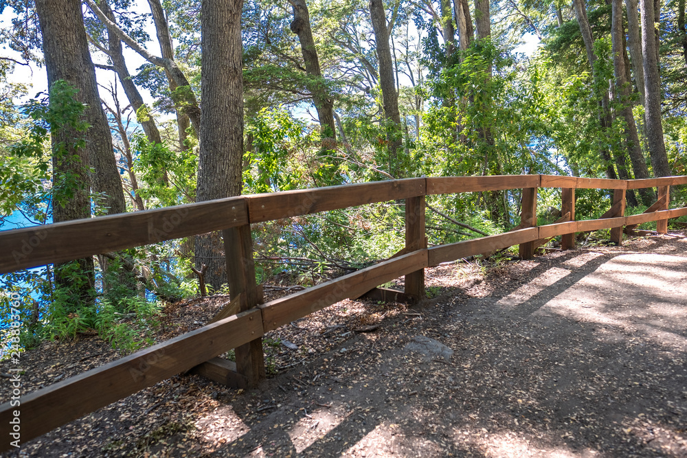 wooden bridge in the forest nature ladnscape travel tourism journal wooden bridge in the forest nature ladnscape travel tourism journal
