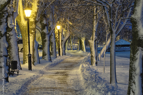 Fototapeta Naklejka Na Ścianę i Meble -  Road through a snowy winter park. Elk,Masuria, Poland.