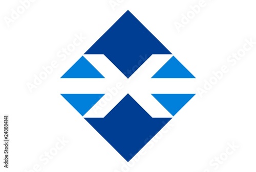 letter x logo concept vector icon